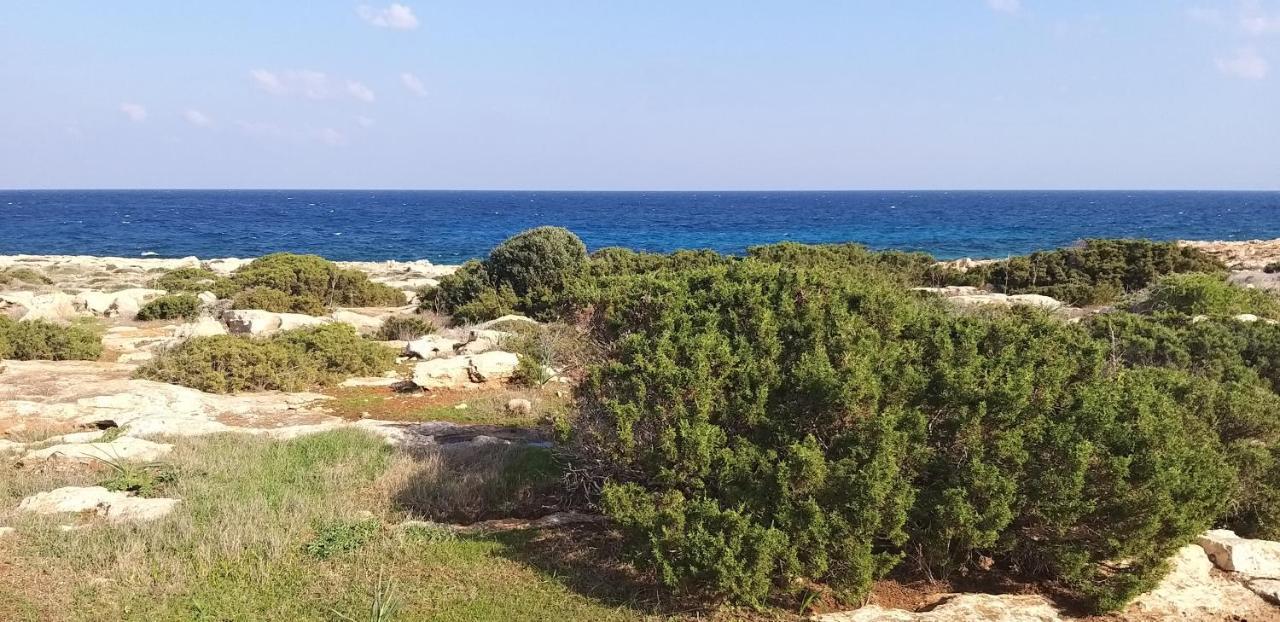 Mosaic Villa By The Sea Protaras Luaran gambar