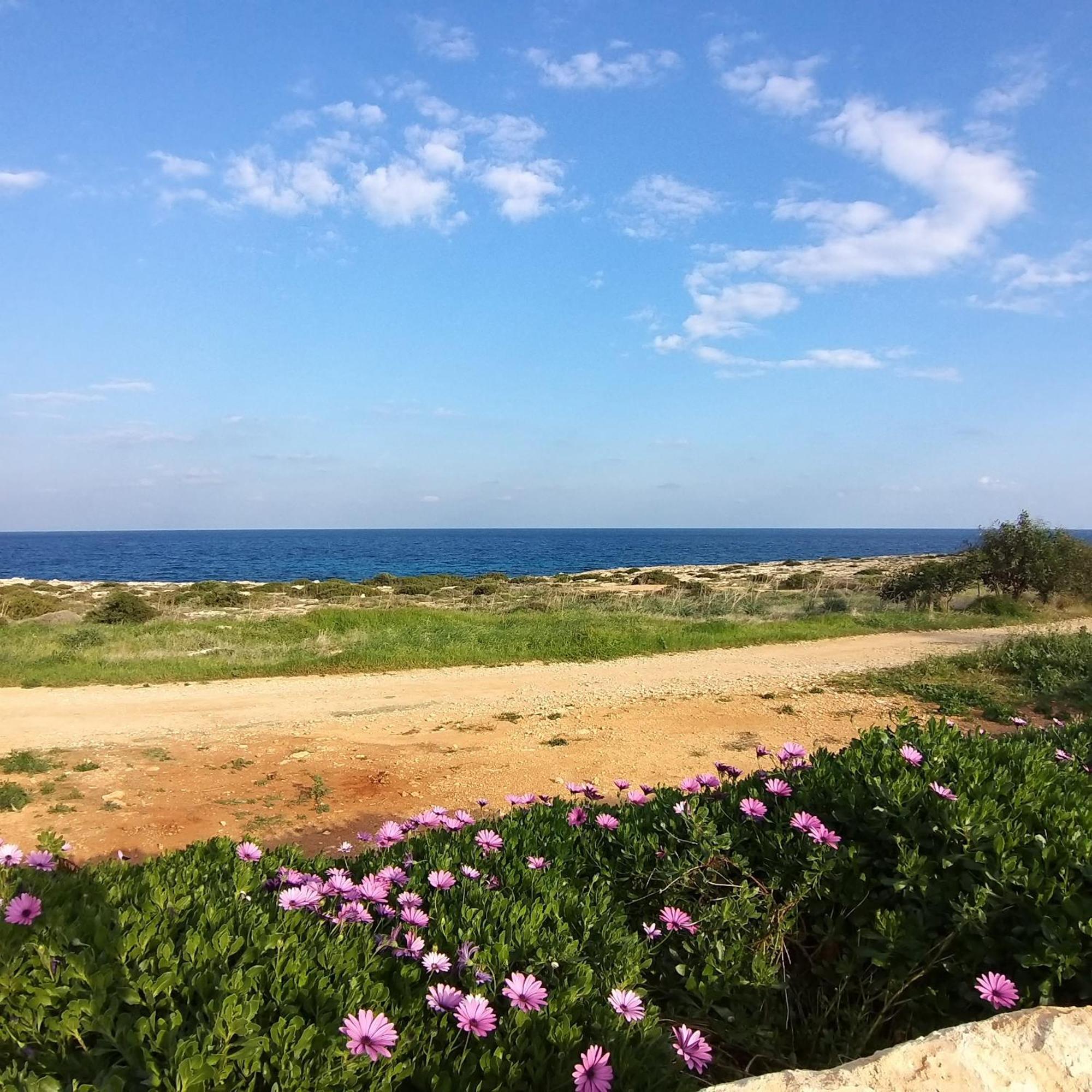 Mosaic Villa By The Sea Protaras Luaran gambar